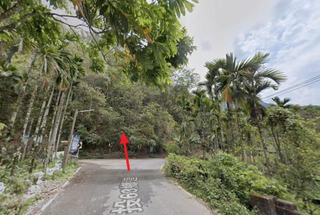 信義鄉山坡地法拍-2