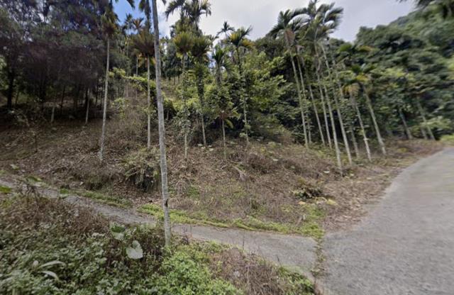 信義鄉山坡地法拍-3