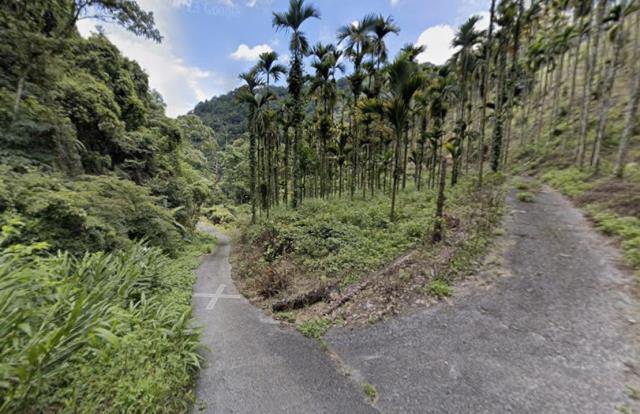 信義鄉山坡地法拍-4