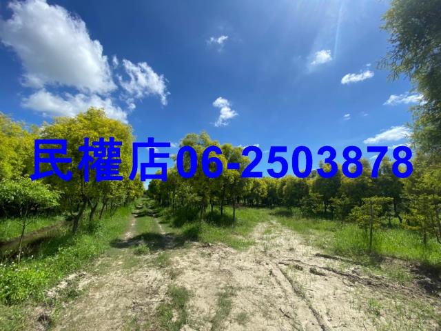 台南六甲農地-10