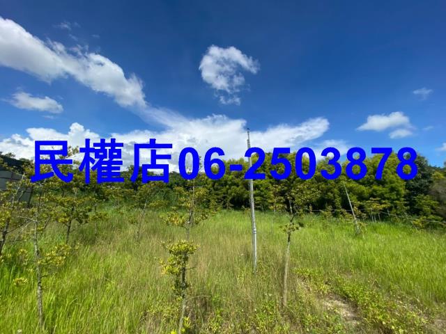 台南六甲農地-11