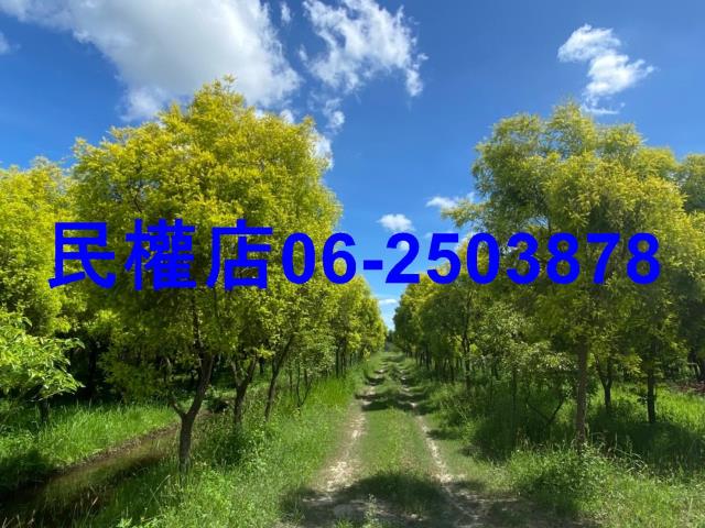 台南六甲農地-8