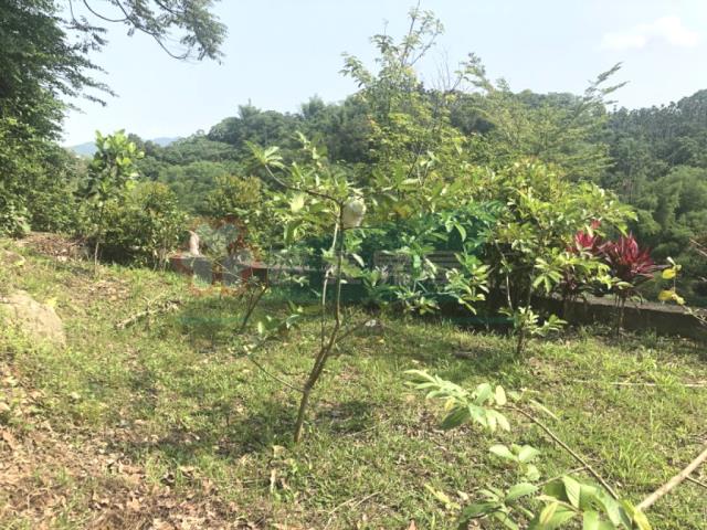 南投南投市農地_山坡地-11