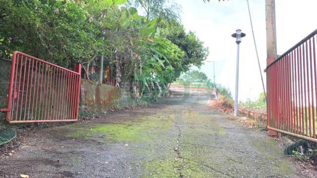 南投南投市農地_山坡地-14