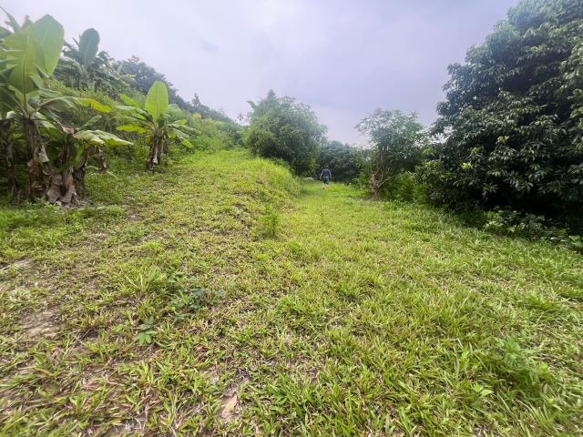 台中霧峰農地_山坡地-10