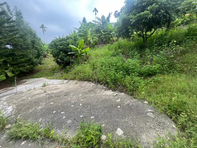 台中霧峰農地_山坡地-11