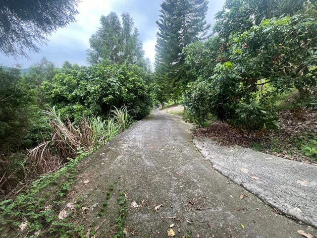 台中霧峰農地_山坡地-12