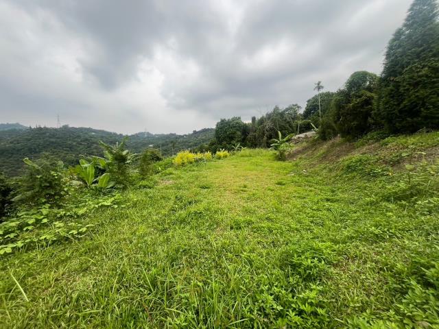 台中霧峰農地_山坡地-13