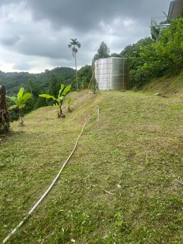 台中霧峰農地_山坡地-14