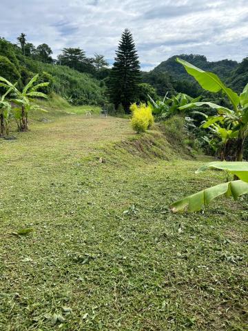 台中霧峰農地_山坡地-15