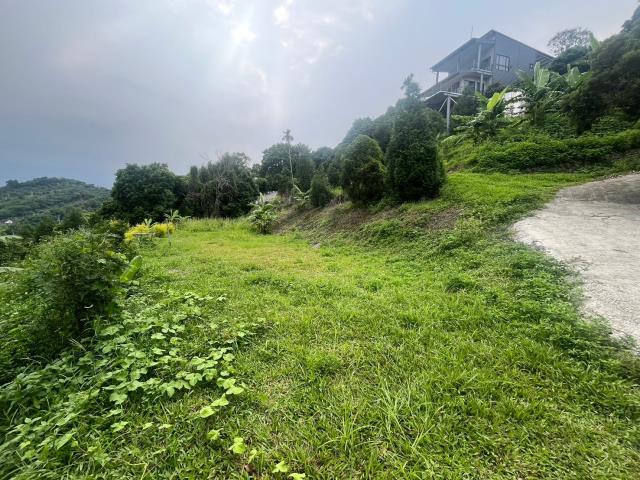 台中霧峰農地_山坡地-5