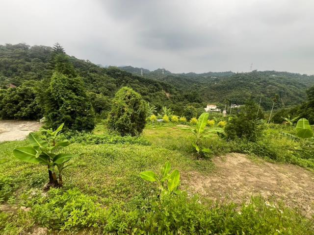 台中霧峰農地_山坡地-8