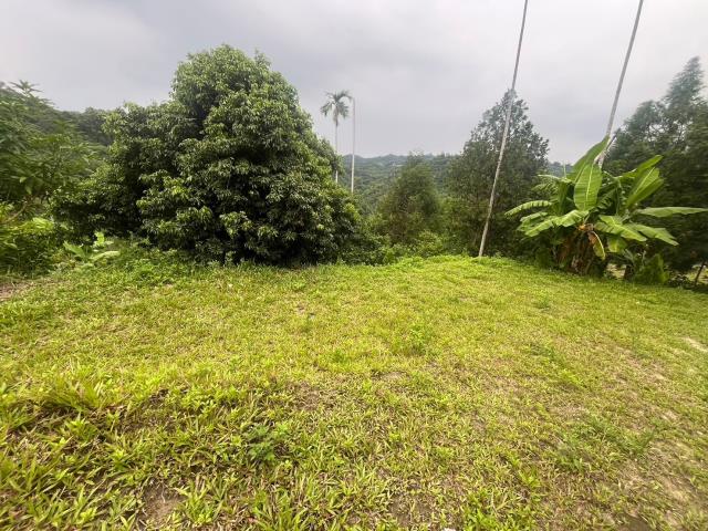 台中霧峰農地_山坡地-9
