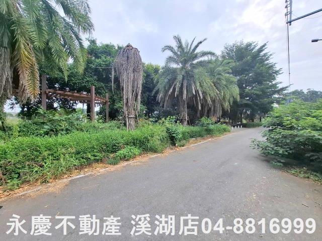 彰化田尾建地-4