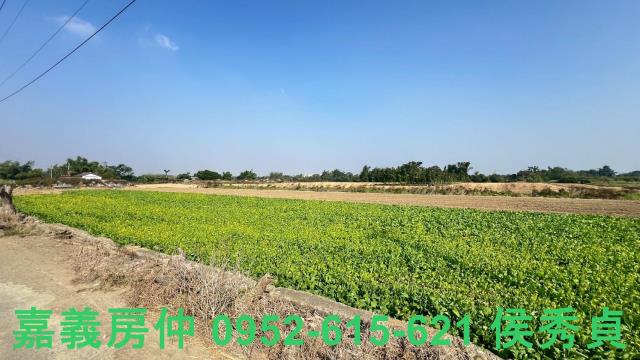 西區農地-7