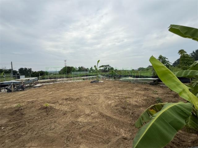 高雄大社農地-7