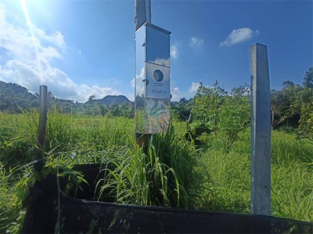 高雄大社農地-14