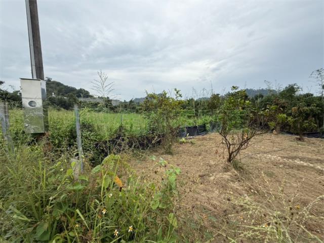 高雄大社農地-7