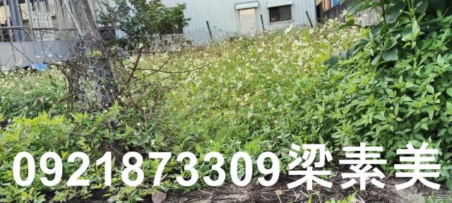 台南六甲建地-3