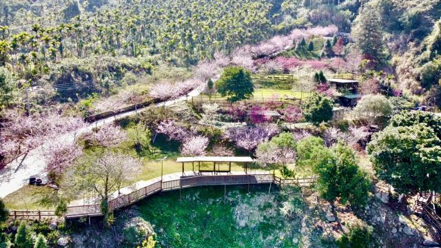 南投國姓農地-8