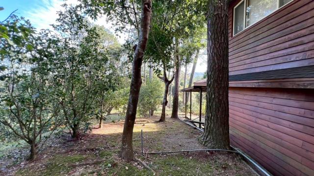 新竹峨眉林地-13