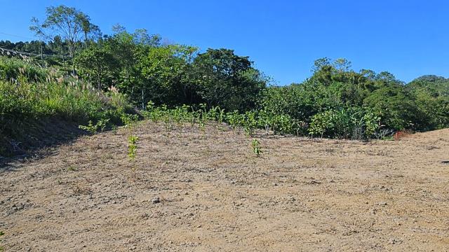 北埔綠世界旁小坪數優質農地