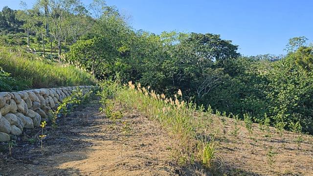 新竹北埔農地-6