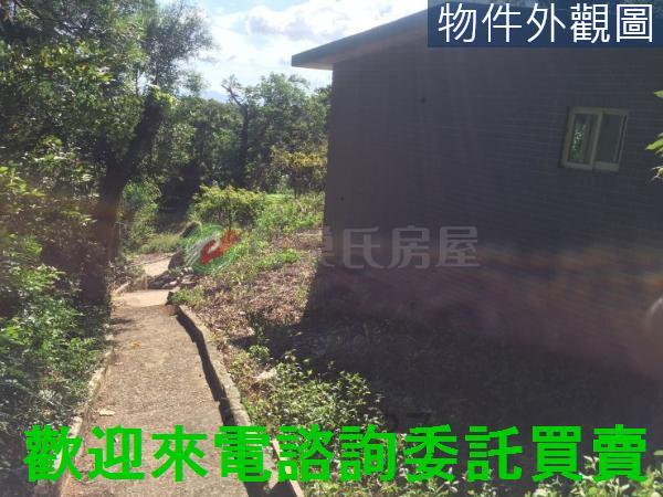 台北北投農地-10