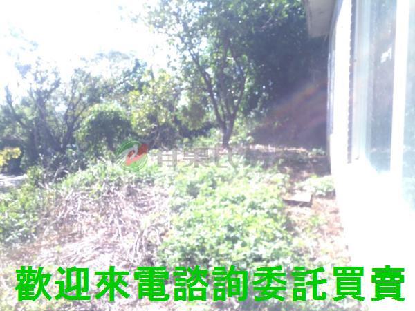 台北北投農地-13