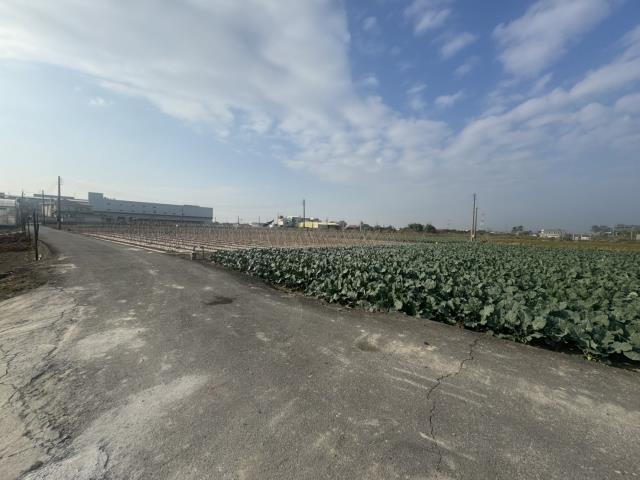 高雄路竹農地-10