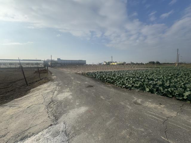 高雄路竹農地-12