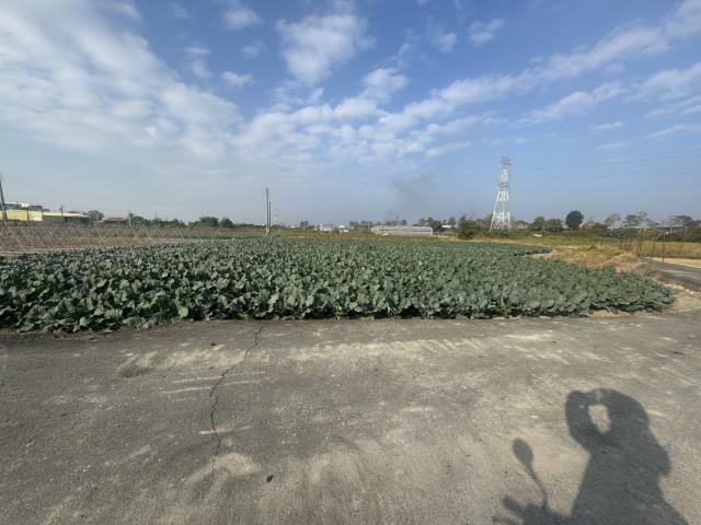 高雄路竹農地-1