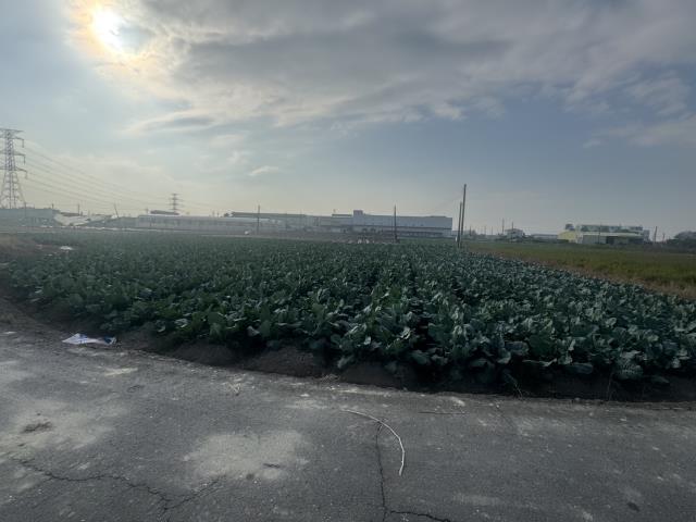 高雄路竹農地-4