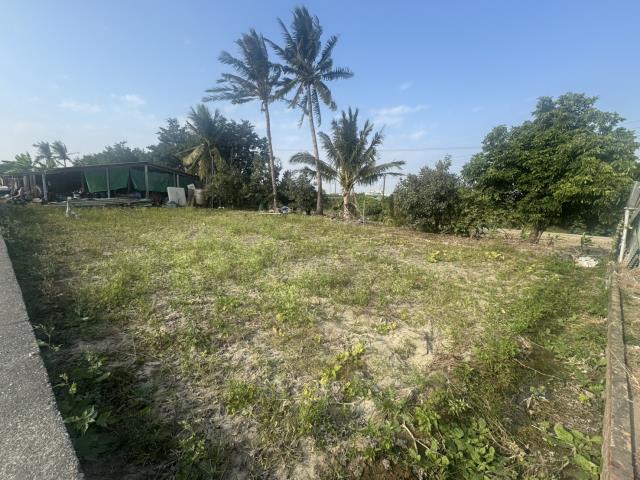 高雄路竹農地-13