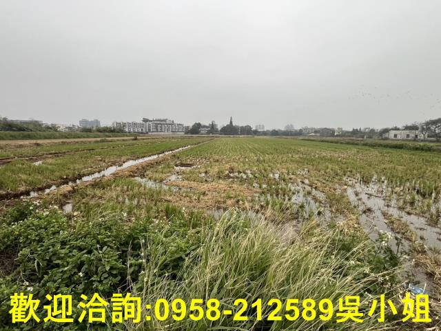 湖口農地-4