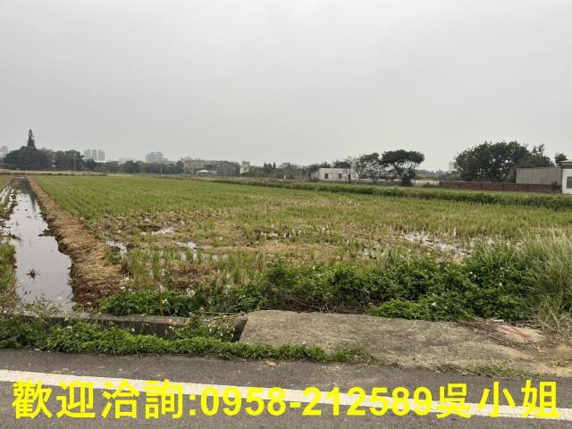 湖口農地-9