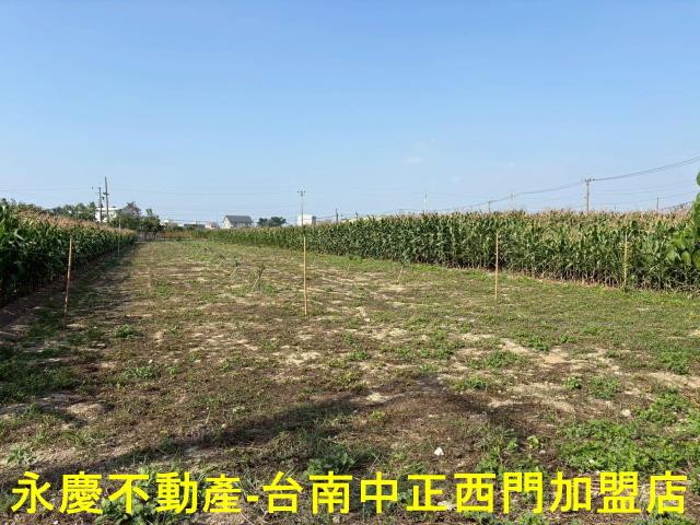 鹽水農地-8
