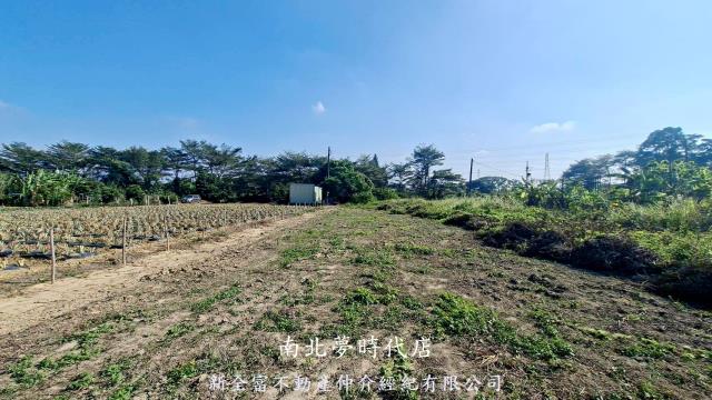 台南農地-2