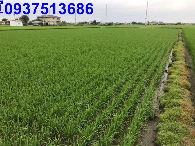 宜蘭縣壯圍鄉壯志段農地出售