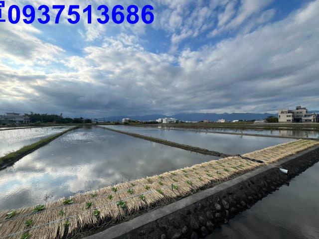 宜蘭壯圍農地-3