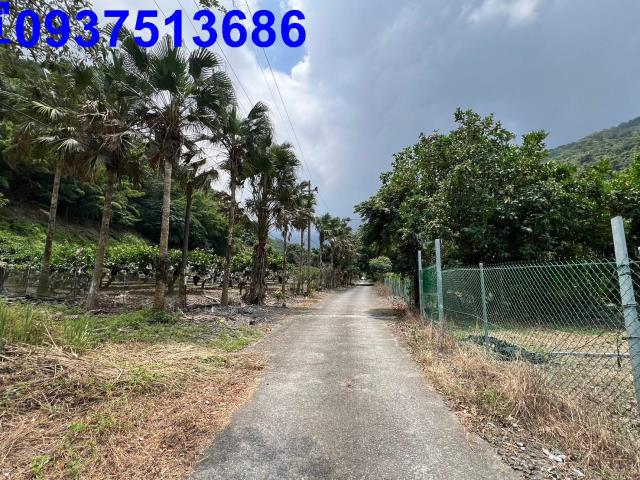 宜蘭員山農地-0