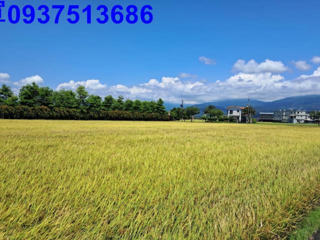 宜蘭壯圍農地-0