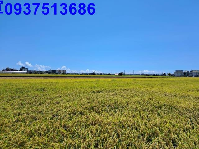 宜蘭壯圍農地-5