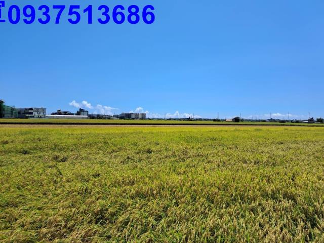 宜蘭壯圍農地-6