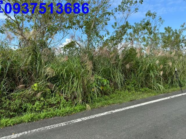 宜蘭縣壯圍鄉壯濱二段農地出售