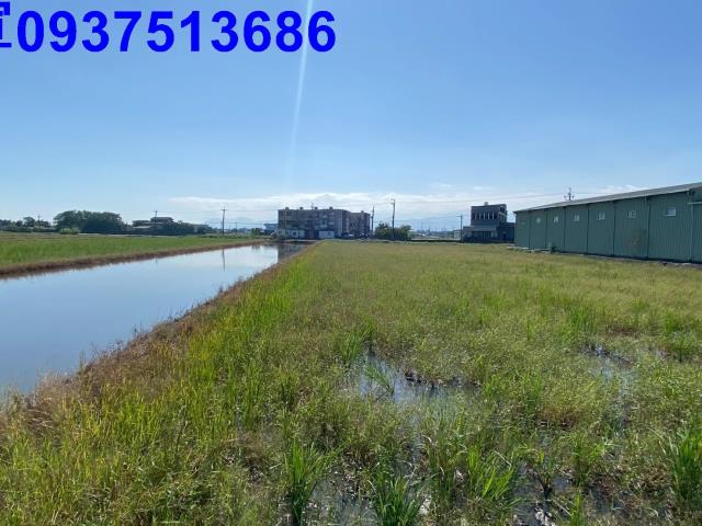 宜蘭壯圍農地-3