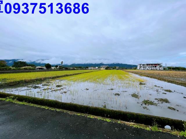 宜蘭三星農地-0