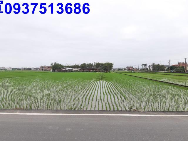 宜蘭礁溪農地-5