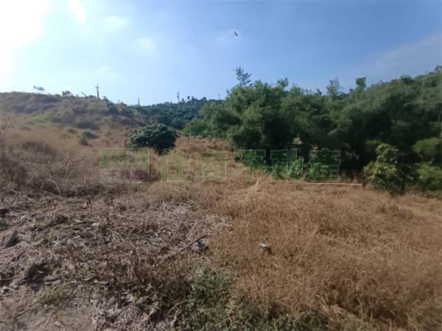 高雄大樹農地-13