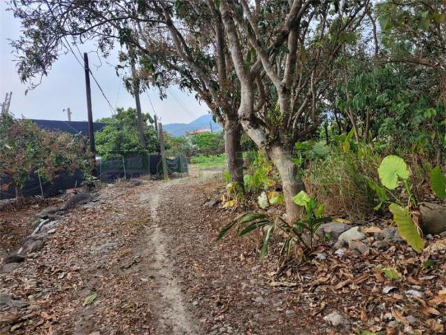 高雄六龜農地-0